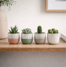 Load image into Gallery viewer, Grey Bordeaux Stoneware Pot (7cm Dia)
