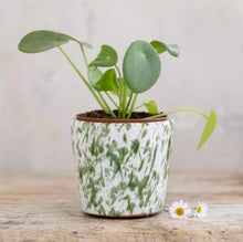 Load image into Gallery viewer, Old Style Dutch Pots - Mini Green Splatter  - 10cm
