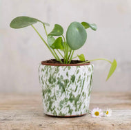 Old Style Dutch Pots - Mini Green Splatter  - 10cm