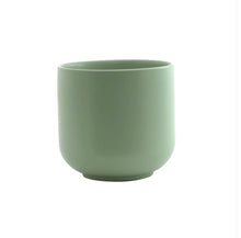 Load image into Gallery viewer, Matt Sage Ceramic Pot
