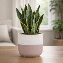 Load image into Gallery viewer, Pink &amp; White Bordeaux Stoneware Pot (17cm Dia)
