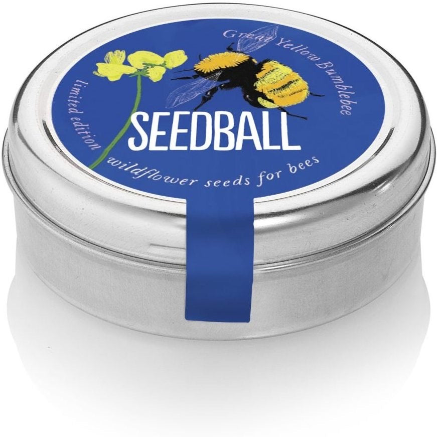 Seedball Great Yellow Bee Mix