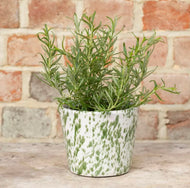 Old Style Dutch Pots - Green Splatter  - 14cm
