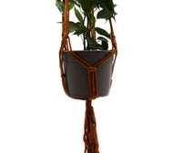 Macrame Pot Holder  - Chocolate