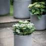 Concrete Brockwell Outdoor Planter - Taupe