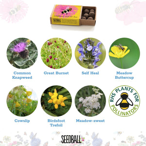Seedball Bee Boxes