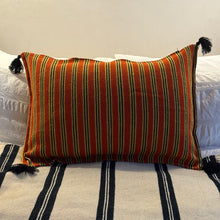 Load image into Gallery viewer, Atlas Cushions
