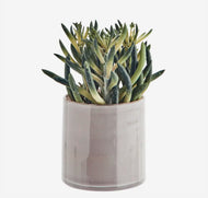 Grey Glass Flower Pot
