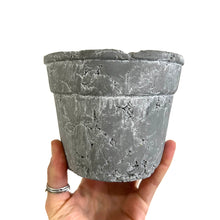 Load image into Gallery viewer, Concrete Pot
