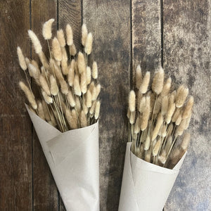 Dried Lagurus Ovatus - Bunny Tails