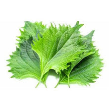 Load image into Gallery viewer, Shiso Red and Green Mix
