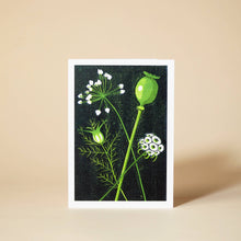 Load image into Gallery viewer, Seed Heads Card
