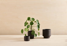 Load image into Gallery viewer, Botany porcelain plant pot - Large, 18.5cm
