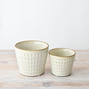 Cream Embossed Plant Pot , 14cm