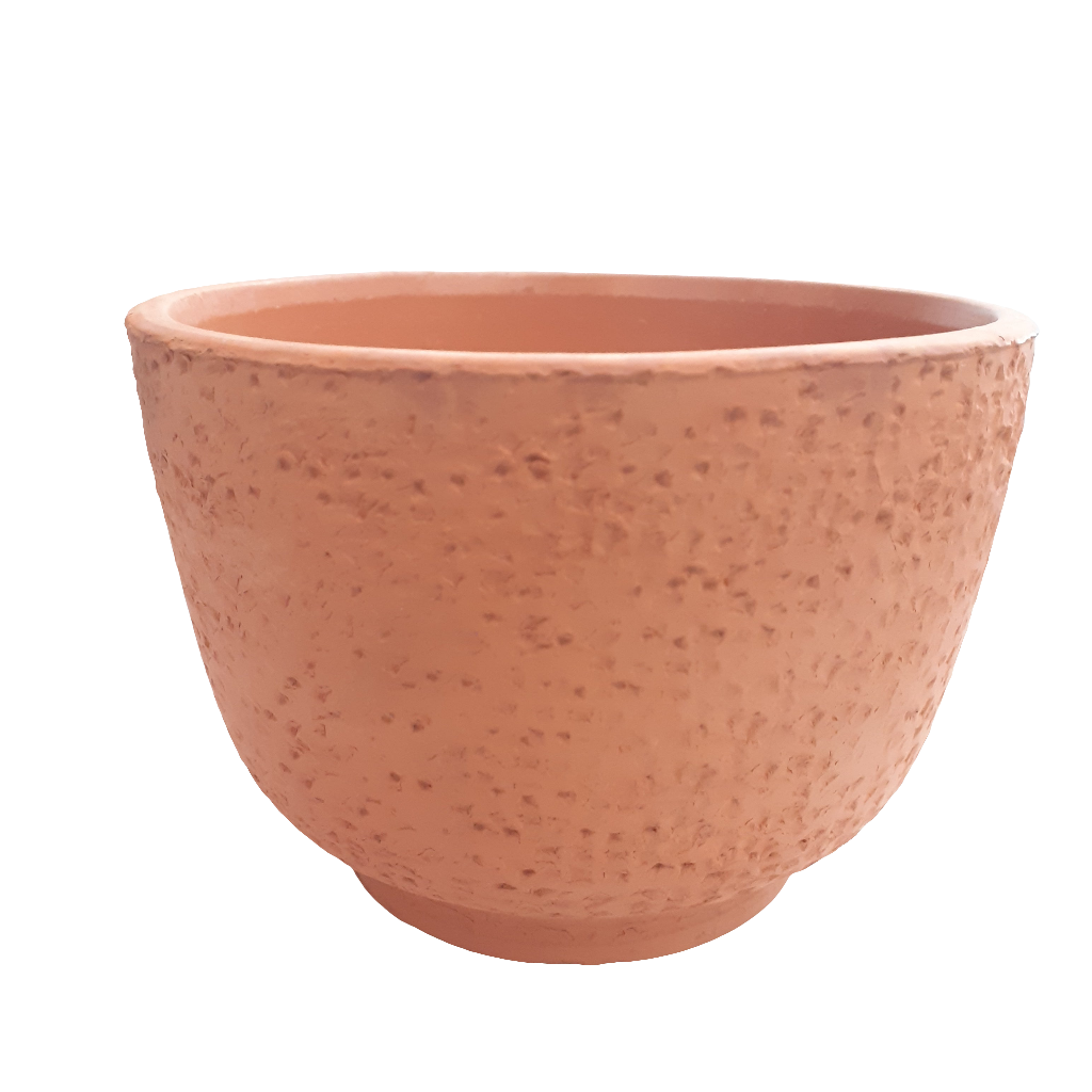 Terracotta Cactus Planter