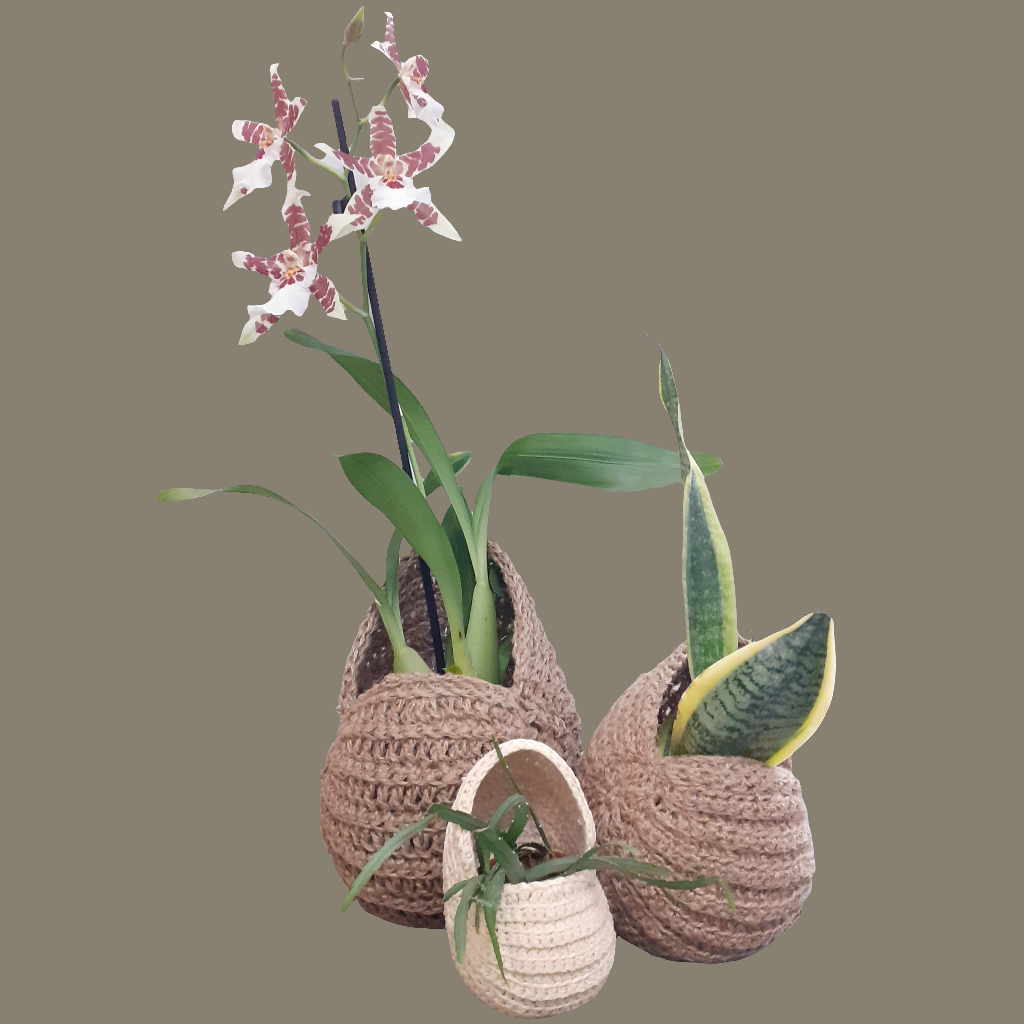 Knitted Nautilus Shells By @KittyMacmade