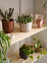 Load image into Gallery viewer, Botany Porcelain plant pot - Medium, 15cm
