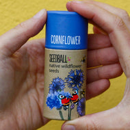 Wildflower Seedball Tube