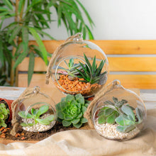 Load image into Gallery viewer, Indoor Plant Terrarium Hanging Rope 10cm
