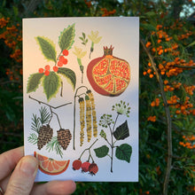 Load image into Gallery viewer, December Study Greetings Card
