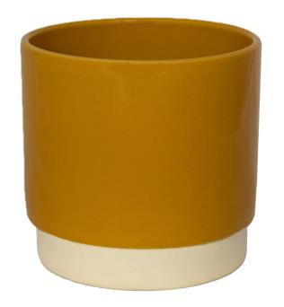 Ivyline - Eno Pot, Mustard