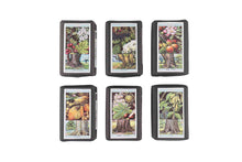 Load image into Gallery viewer, Collectors Soap - Trees (Olive Soap)
