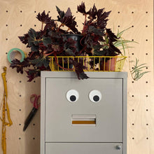 Load image into Gallery viewer, Googly Eyes Magnets
