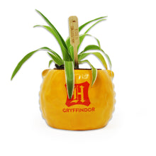 Load image into Gallery viewer, Plant Pot Shaped - Harry Potter (Gryffindor)
