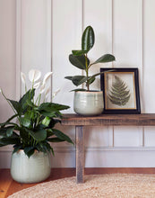 Load image into Gallery viewer, Como Hand Finished Indoor Ceramic Plant Pot H21cm &amp; D26cm
