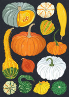 Pumpkin Harvest Card