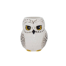 Load image into Gallery viewer, Harry Potter Hedwig Plant Pot
