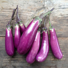 Load image into Gallery viewer, Eggplant Slim Jim
