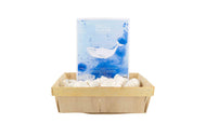 Shell Soaps - Sea life