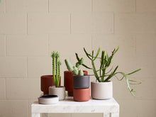 Load image into Gallery viewer, Botany Porcelain plant pot - Medium, 15cm
