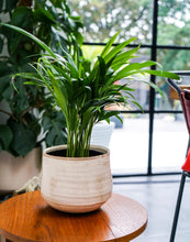 Load image into Gallery viewer, Como Hand Finished Indoor Ceramic Plant Pot H21cm &amp; D26cm
