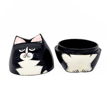 Load image into Gallery viewer, Kashmiri papier mâché Cat Trinket Box - Assorted Colours
