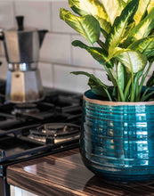 Load image into Gallery viewer, Como Hand Finished Indoor Ceramic Plant Pot H21cm &amp; D26cm
