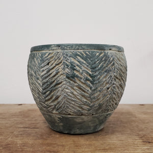 Cactus Planter