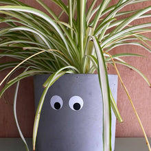 Load image into Gallery viewer, Waterproof Stickers - Googly Eye
