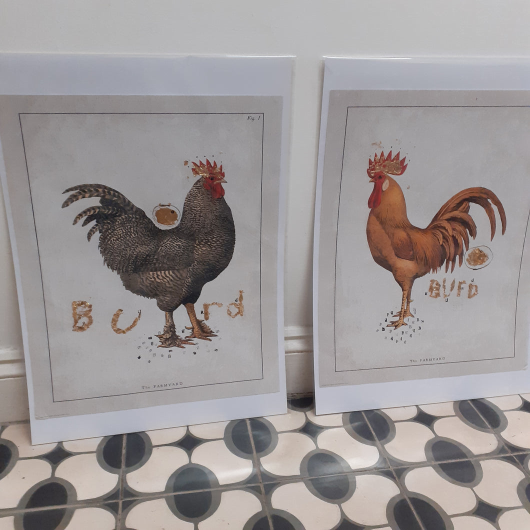 Burd No. 5 Print by Son of Ita