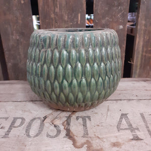 Armadillo Pot