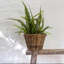 Load image into Gallery viewer, Round Kobu Planter
