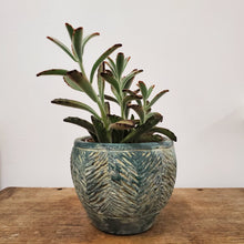 Load image into Gallery viewer, Cactus Planter
