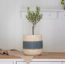 Load image into Gallery viewer, Jute Planter (Lined)
