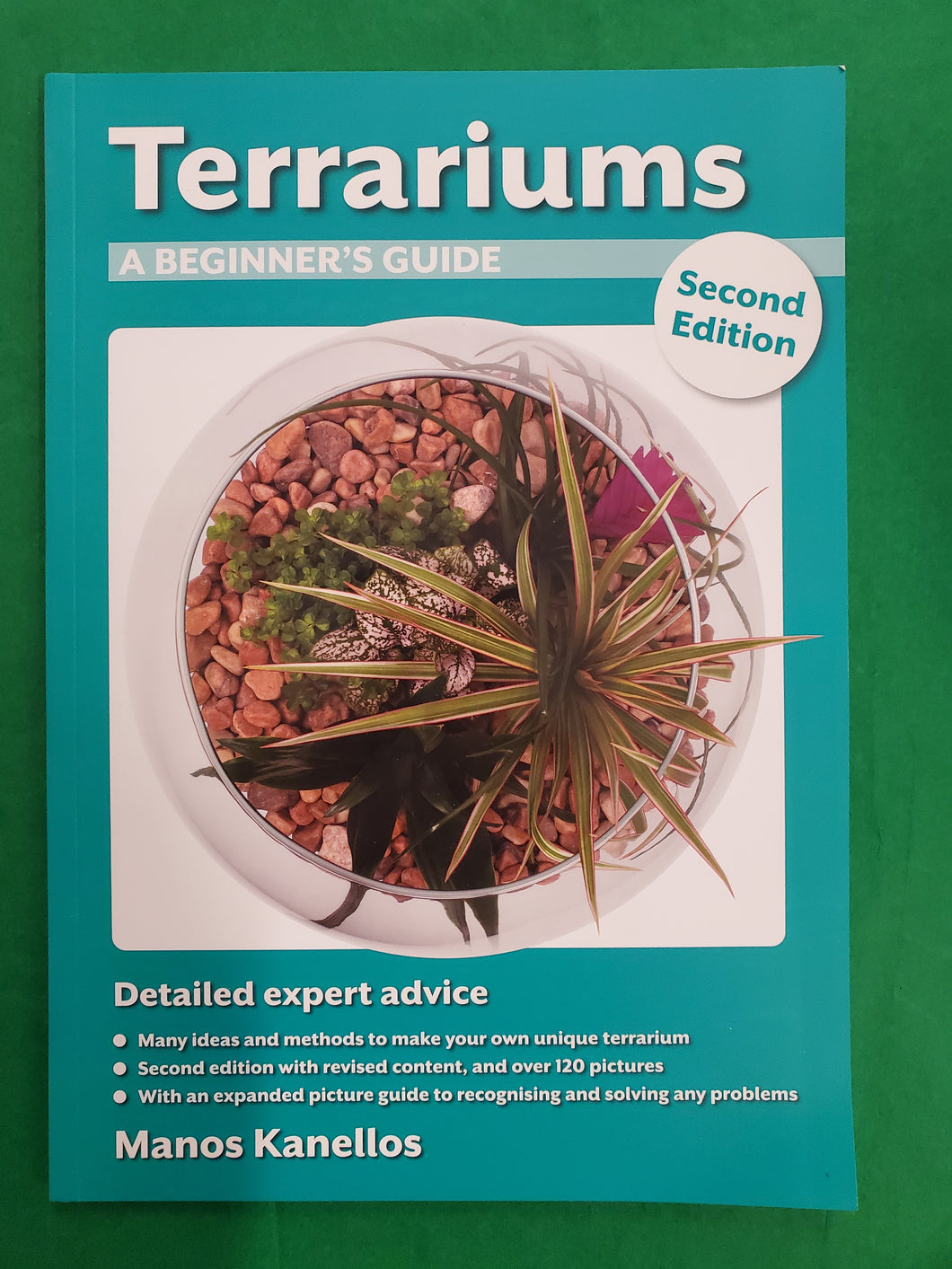 Terrariums, A Beginner’s Guide