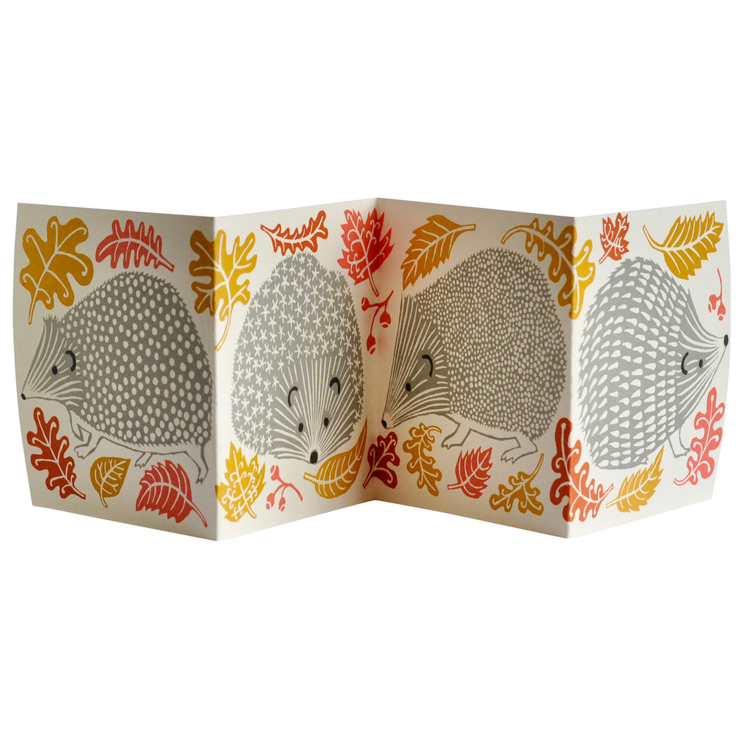 Prickle of Hedgehog - Cambridge Imprint
