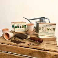 Wild Streatham - Wild Flowers For Butterflies & Bees