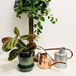 Haws Copper Watering Can - 0.5 Litre