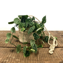 Load image into Gallery viewer, Jute Hanging Basket - Tall

