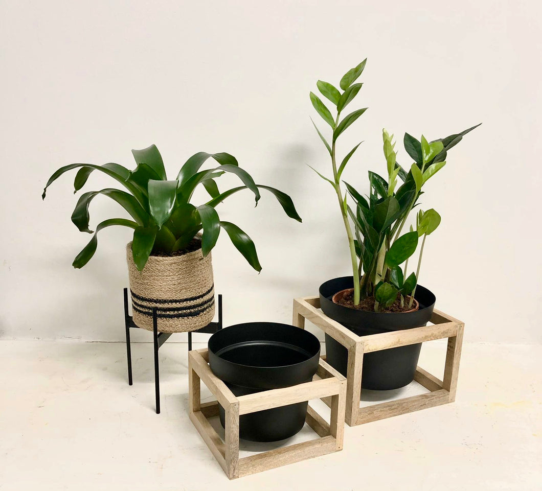 Square Wooden Plant Stand / Black Pot